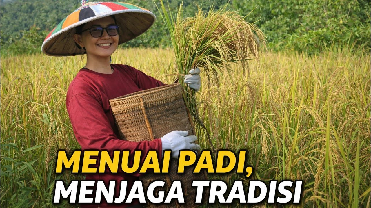 TRADISI MASYARAKAT DAYAK BERTANI DI PERBUKITAN KALIMANTAN