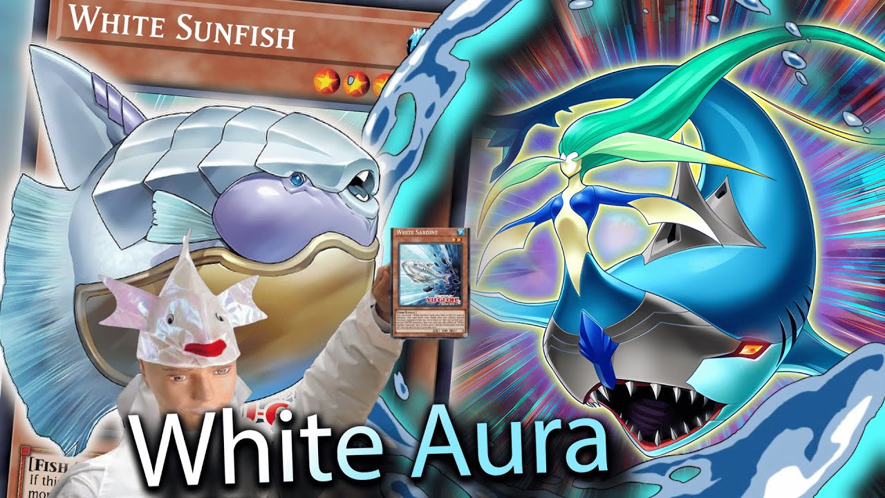 White Aura Ghoti Combos Part 2 - Mermaid Shark[Yu-Gi-Oh! TCG]