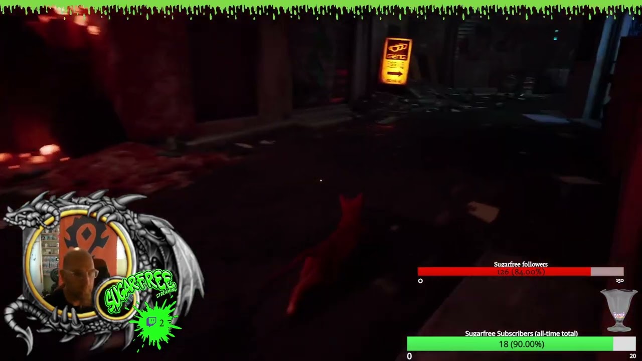 STRAY: "Can't CATch Me" Achievement Run | 