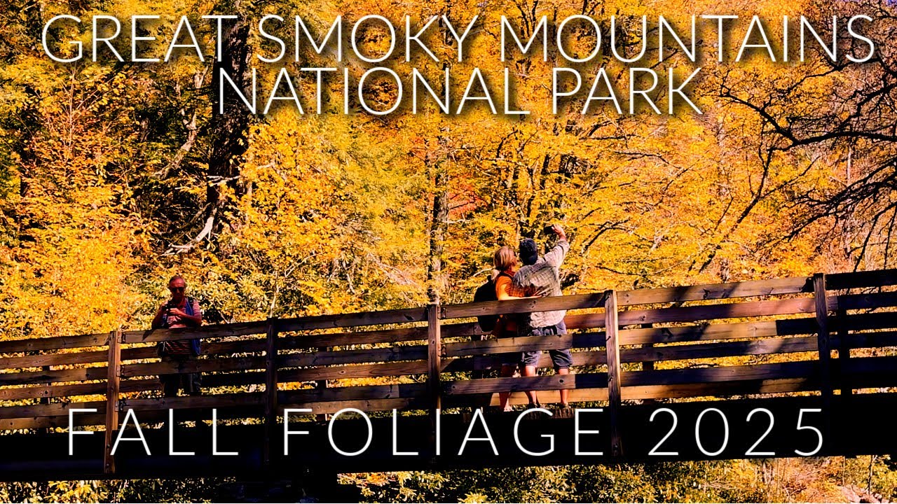 GATLINBURG, TN: Fall Foliage In Great Smoky Mountains National Park |Canon R5