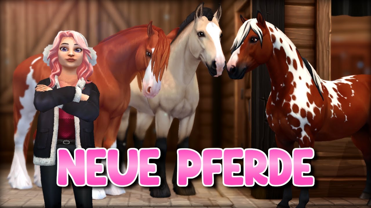Soo schööön! 😍 NEUE PFERDE 💜⭐ ASMR PFERDEKAUF