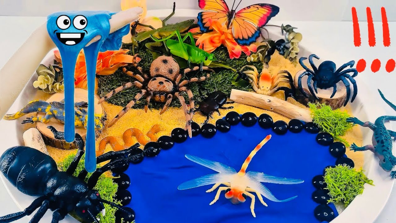 Viens créer un petit monde pour insectes | Serpent | Araignée | Slime Vidéo | Vidéo éducative