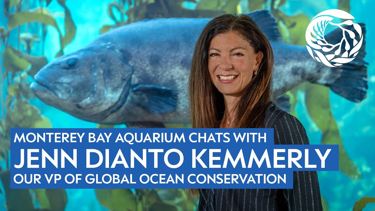 LinkedIn live replay with Jennifer Dianto Kemmerly