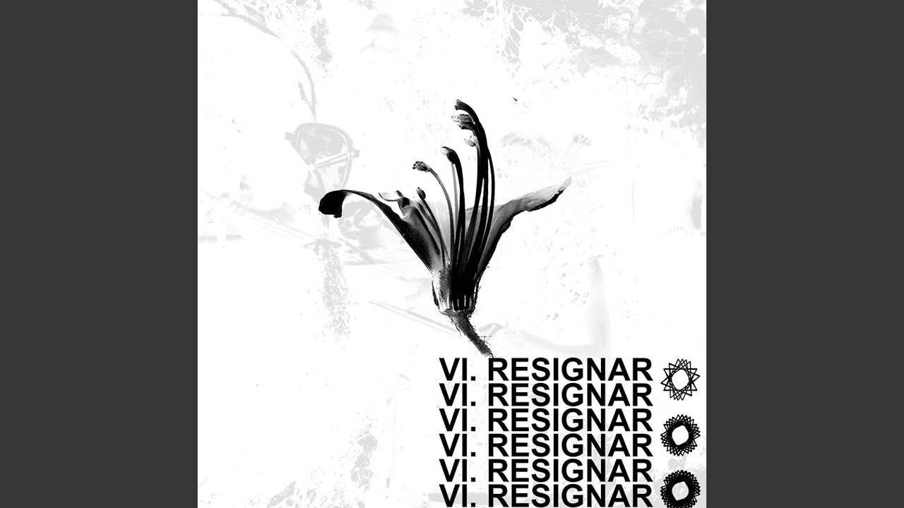 VI RESIGNAR 2024
