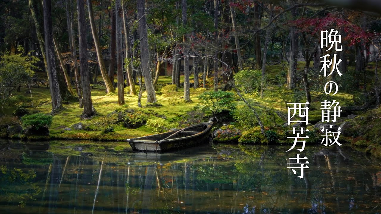 【晩秋の京都】西芳寺｜静寂と苔の世界 4K｜Late Autumn in KyotoSilence and Moss at Saihō-ji  4K｜Trip coffee