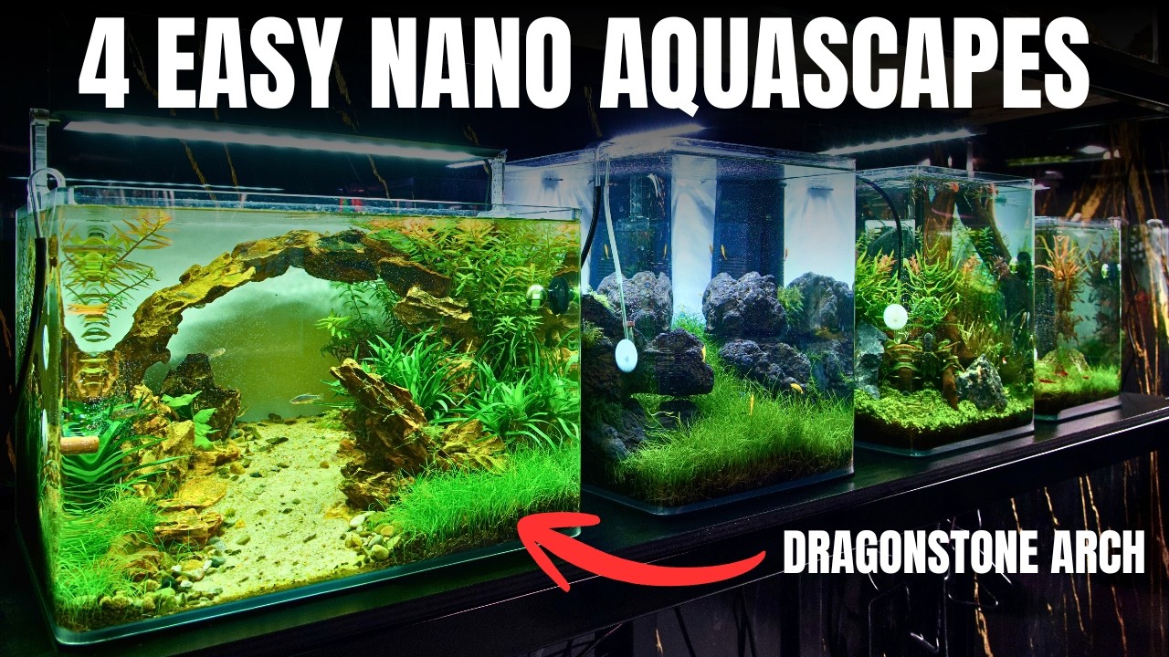 MAKING 4 BEGINNER FRIENDLY NANO AQUASCAPES IN 1 DAY!