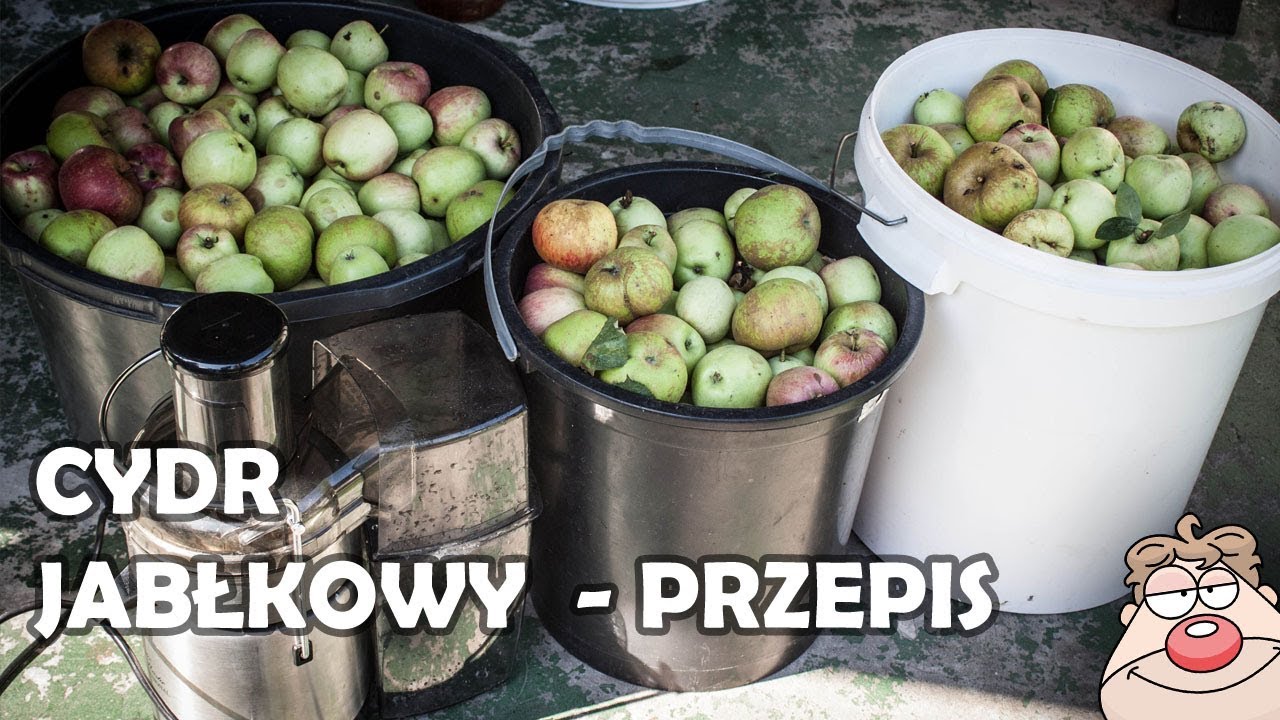 Przepis na CYDR JABŁKOWY - z wyciskanego soku - naturalny cydr z jabłek :)