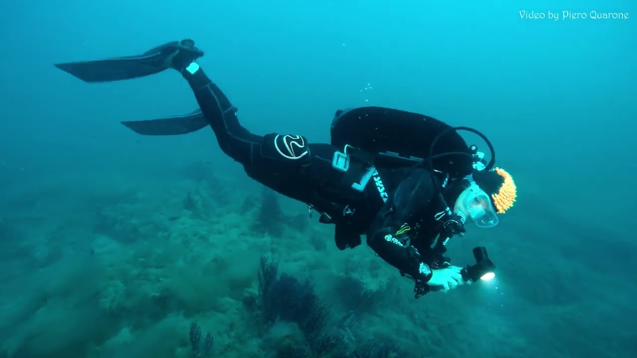 Immersione su 
