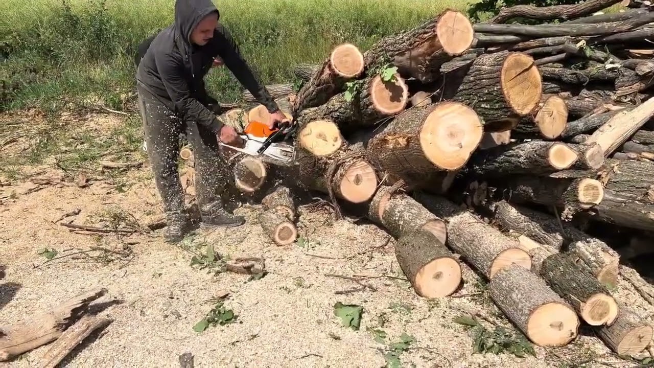 Extreme Logging with Stihl MS 462 C-M
