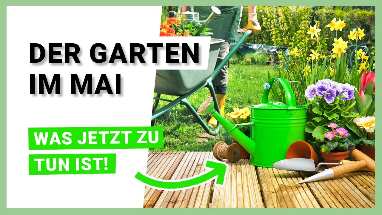 Der Garten im Mai – Was jetzt zu tun ist!