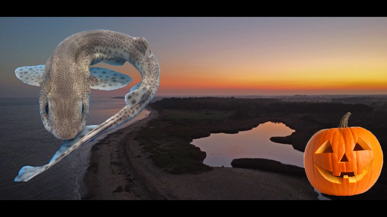 Fishing a Secret Suffolk Cove on Halloween! | Suffolk Beach Fishing |