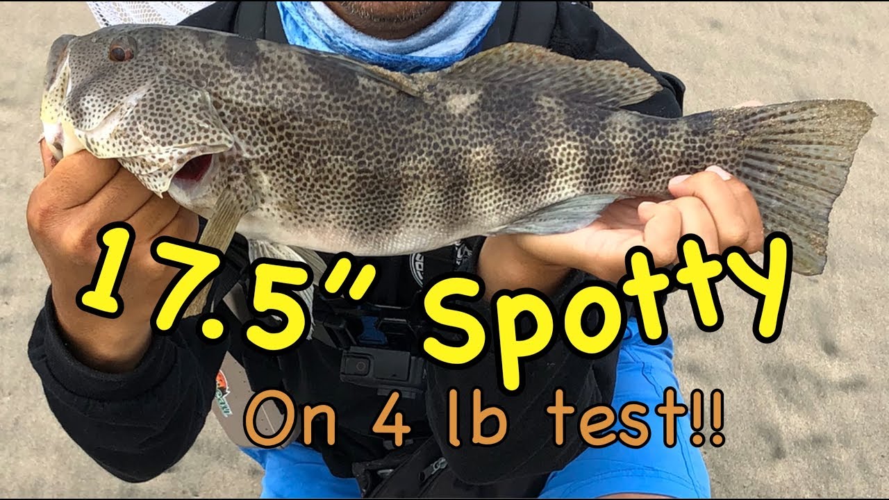 Socal 17.5