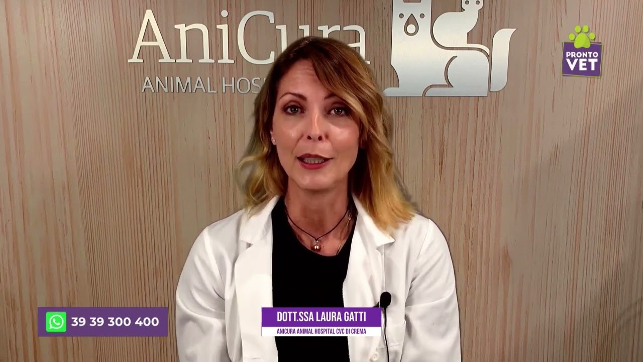 Pronto Vet - La leucemia felina spiegata dalla dott.ssa Laura Gatti