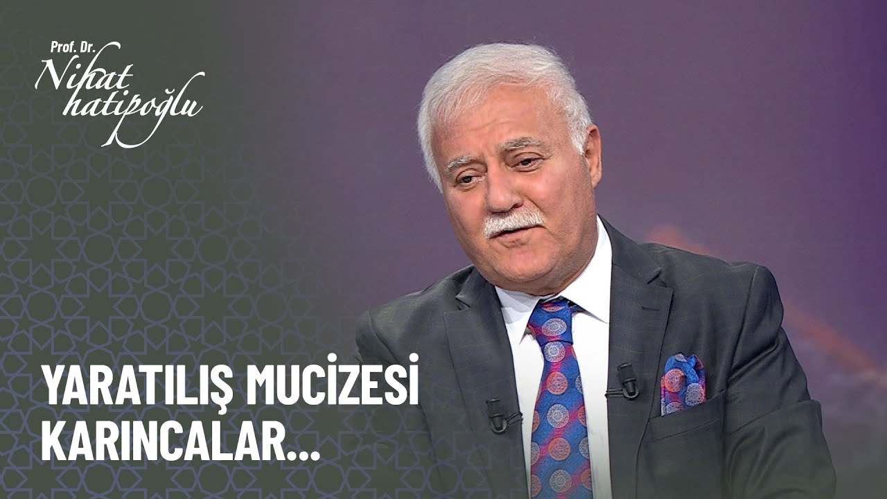 Yaratılış mucizesi karıncalar... - Nihat Hatipoğlu Kur'an ve Sünnet