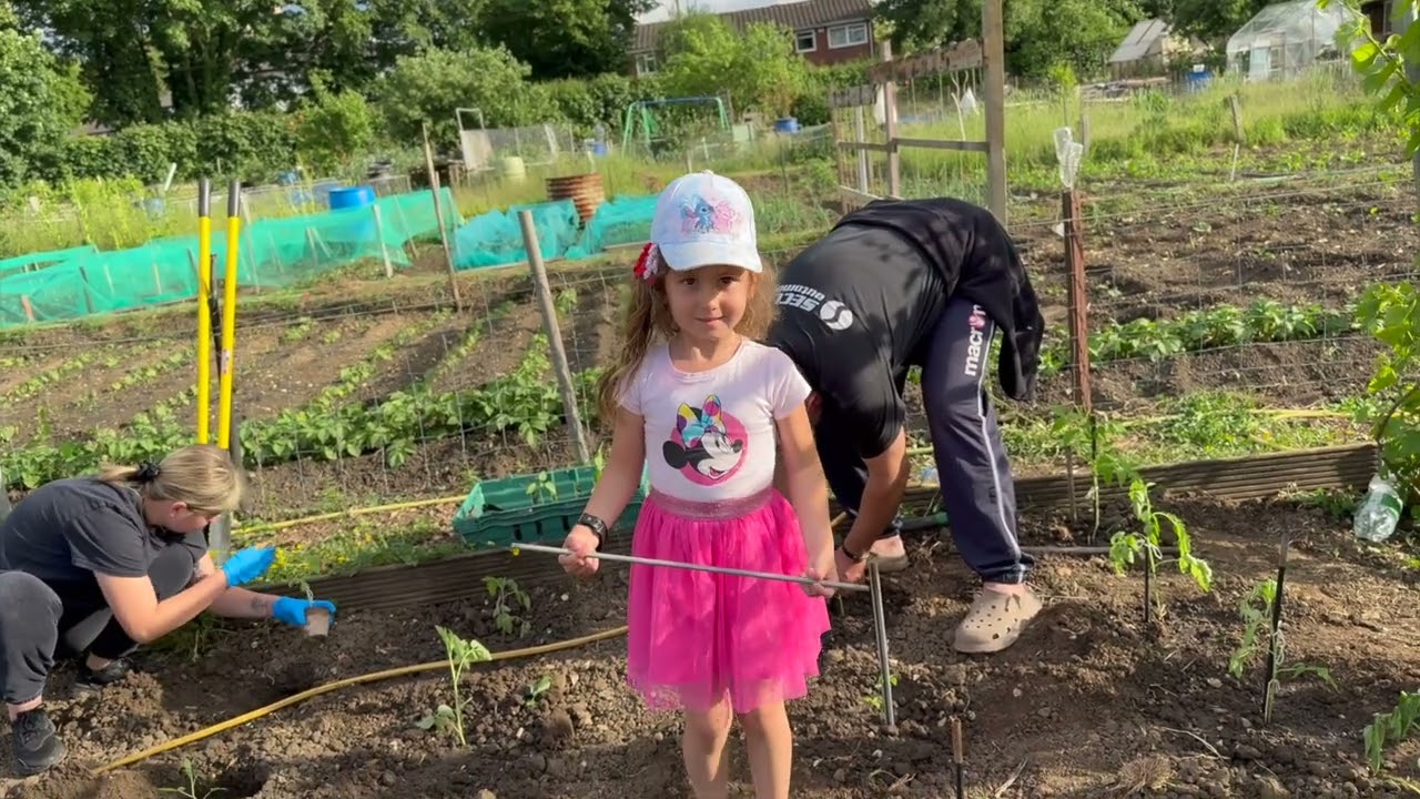 Plantăm în grădină cu ajutoare din România! 🌱🍅 Răsaduri, prășit & voie bună!