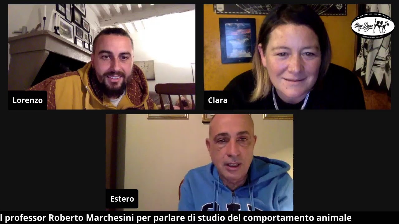 STRAY DOGS chiama ROBERTO MARCHESINI