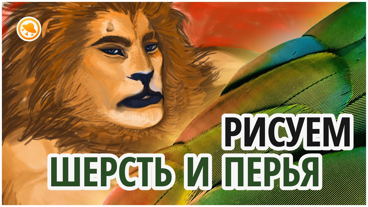 Как рисовать ШЕРСТЬ И ПЕРЬЯ? Урок рисования текстур от #smirnovschool