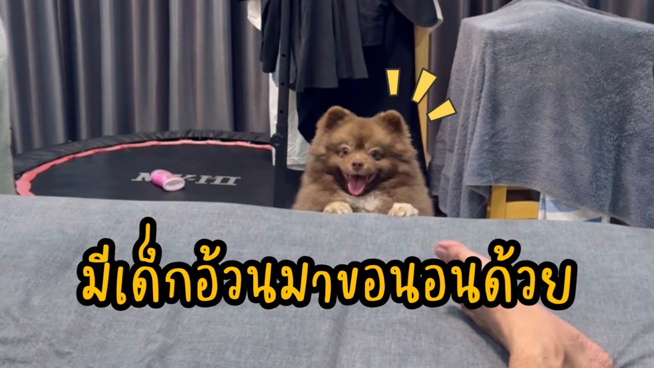 เด็กอ้วนตัวกลมมาขอนอนด้วยแต่น้องฉี่บ่อยเป็นพี่ๆจะให้นอนไหม