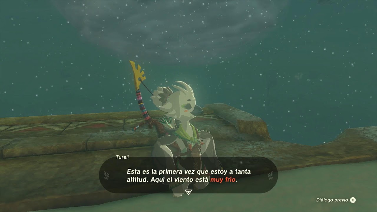 THE LEGEND OF ZELDA TOTK | 15