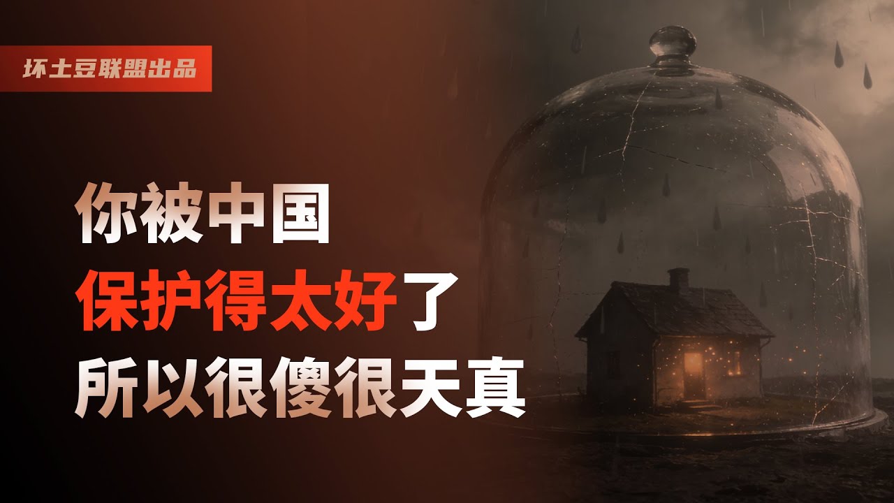 你被中国保护得太好了，所以很傻很天真