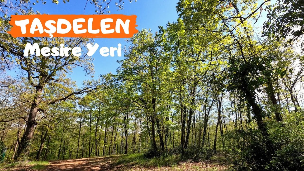 ÇEKMEKÖY TAŞDELEN MESİRE ALANI (İstanbul Piknik Yerleri) - Taşdelen Ormanı