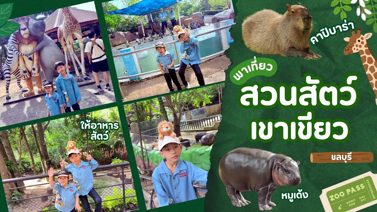 มาดูหมูเด้งตอนโต 2025 สวนสัตว์เปิดเขาเขียว | กัสแสบ เซนซ่า 