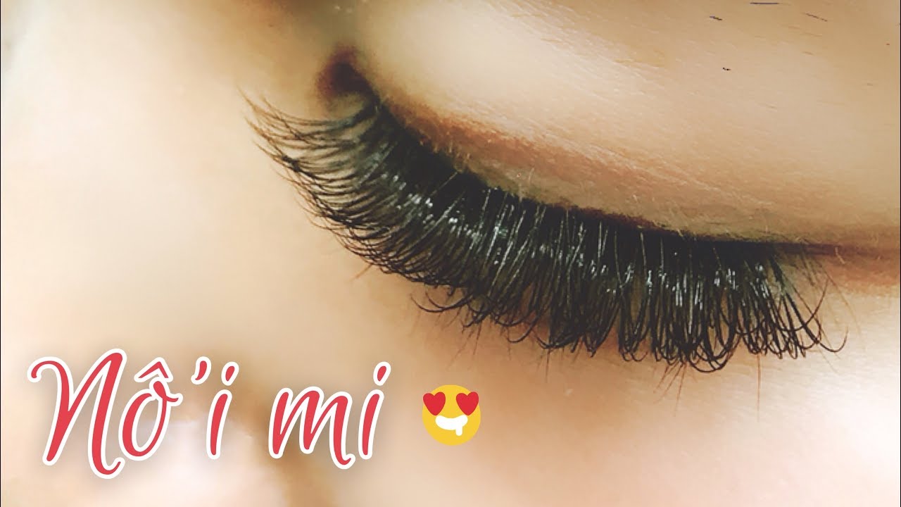 CÁCH CHĂM SÓC MI NỐI - Không Sợ Rụng Mi Thiệt | LAN ANH ♡