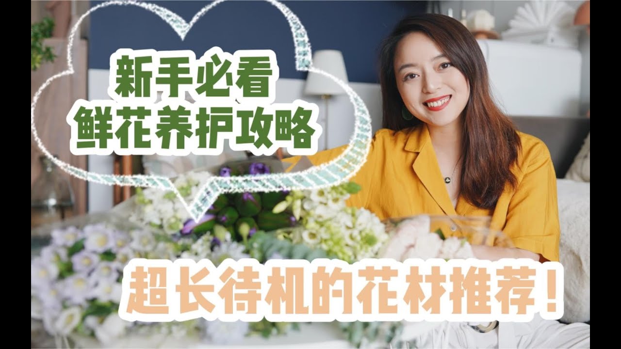 新手必看！鲜花养护攻略 & 懒人必备！超长待机花材推荐！