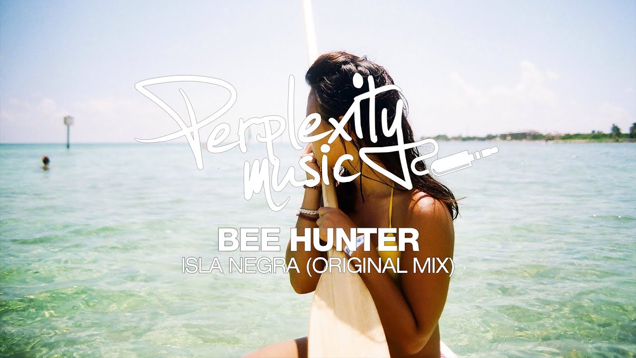 Bee Hunter - Isla Negra [PMW003]