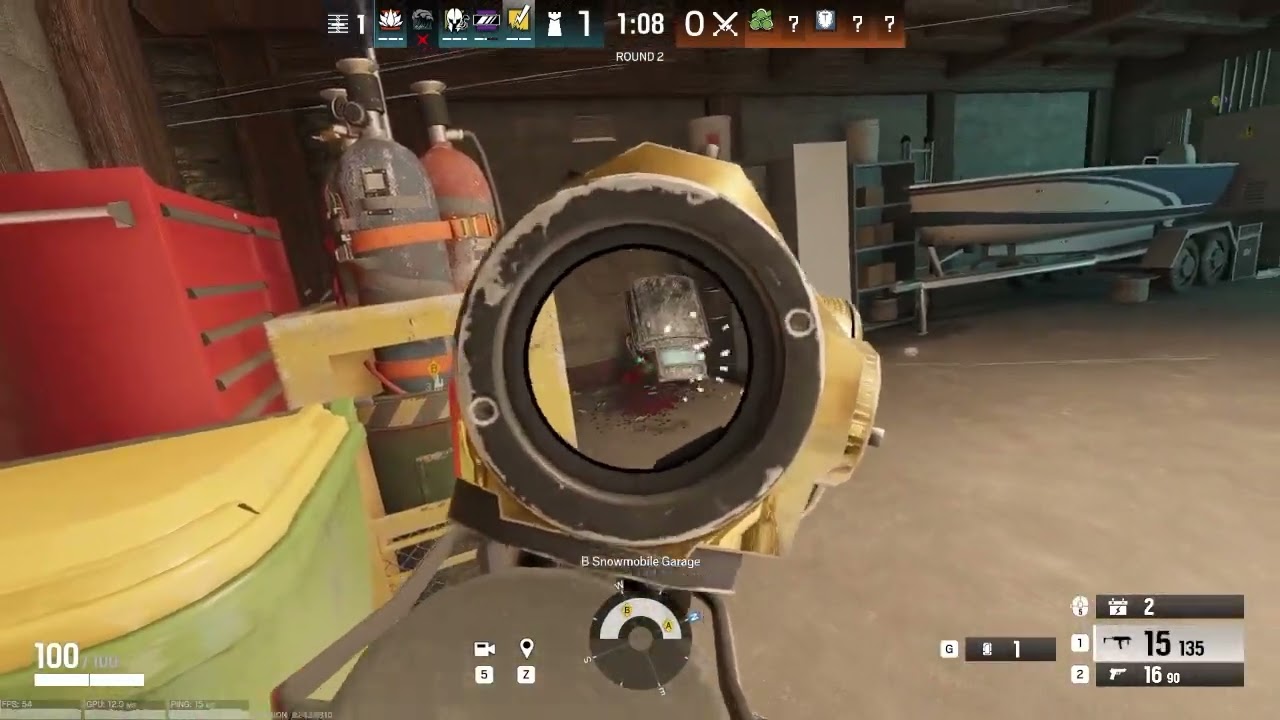 Y10S2 Limb damage in a nutshell