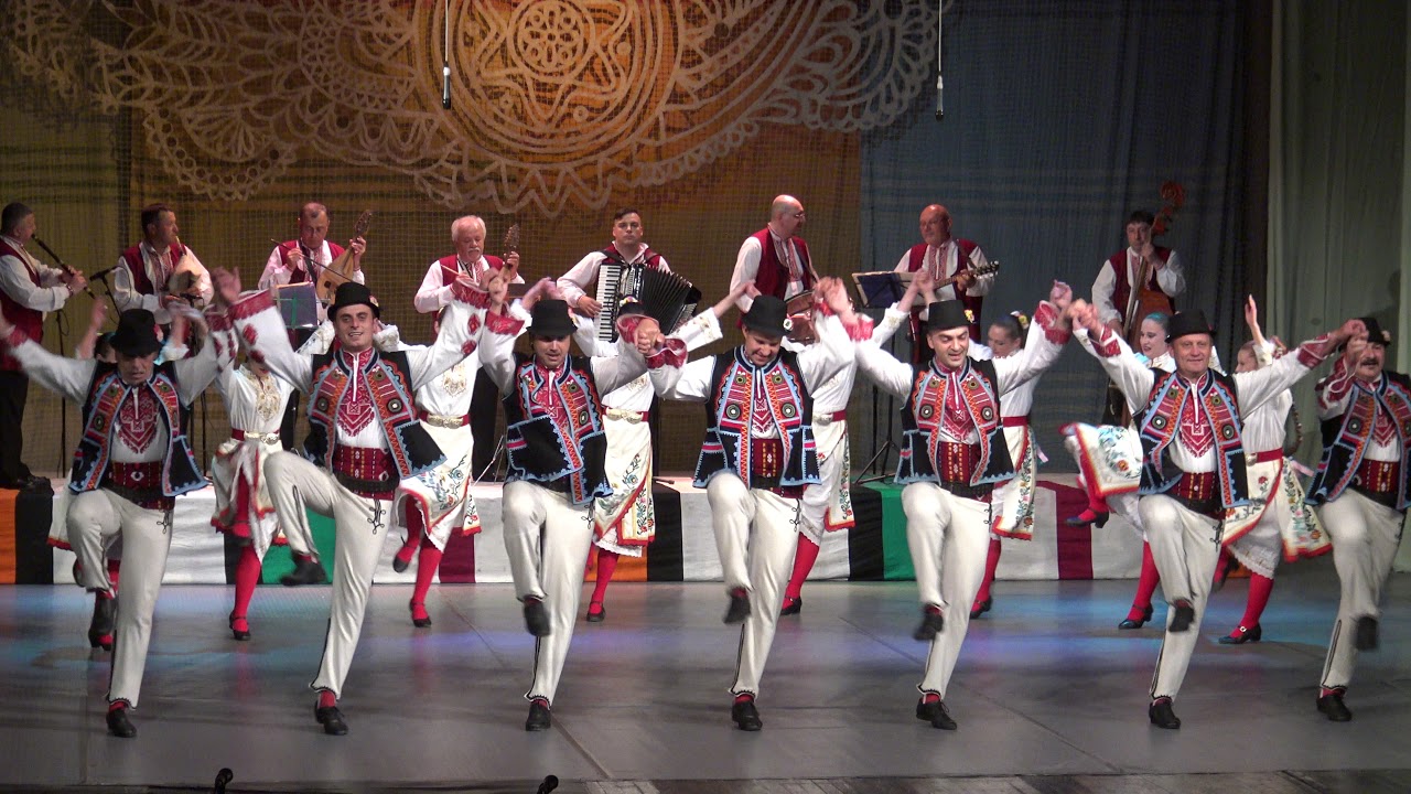 🎼Ансамбъл 