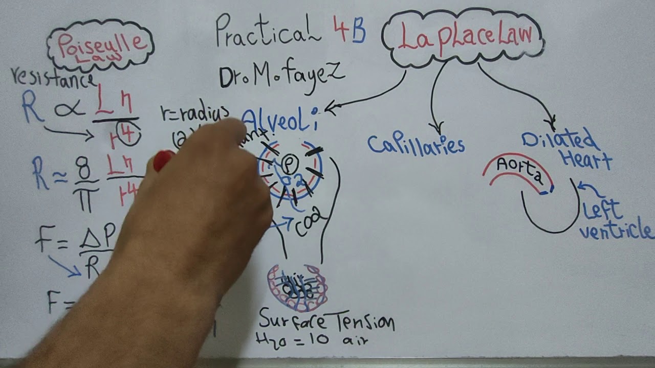 Practical 4 B (Poiseulle law + Laplace law) First year Dr Mohamed Fayez