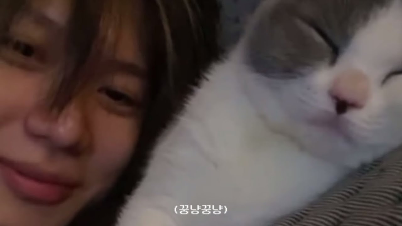태민이랑 꿍냥꿍냥
