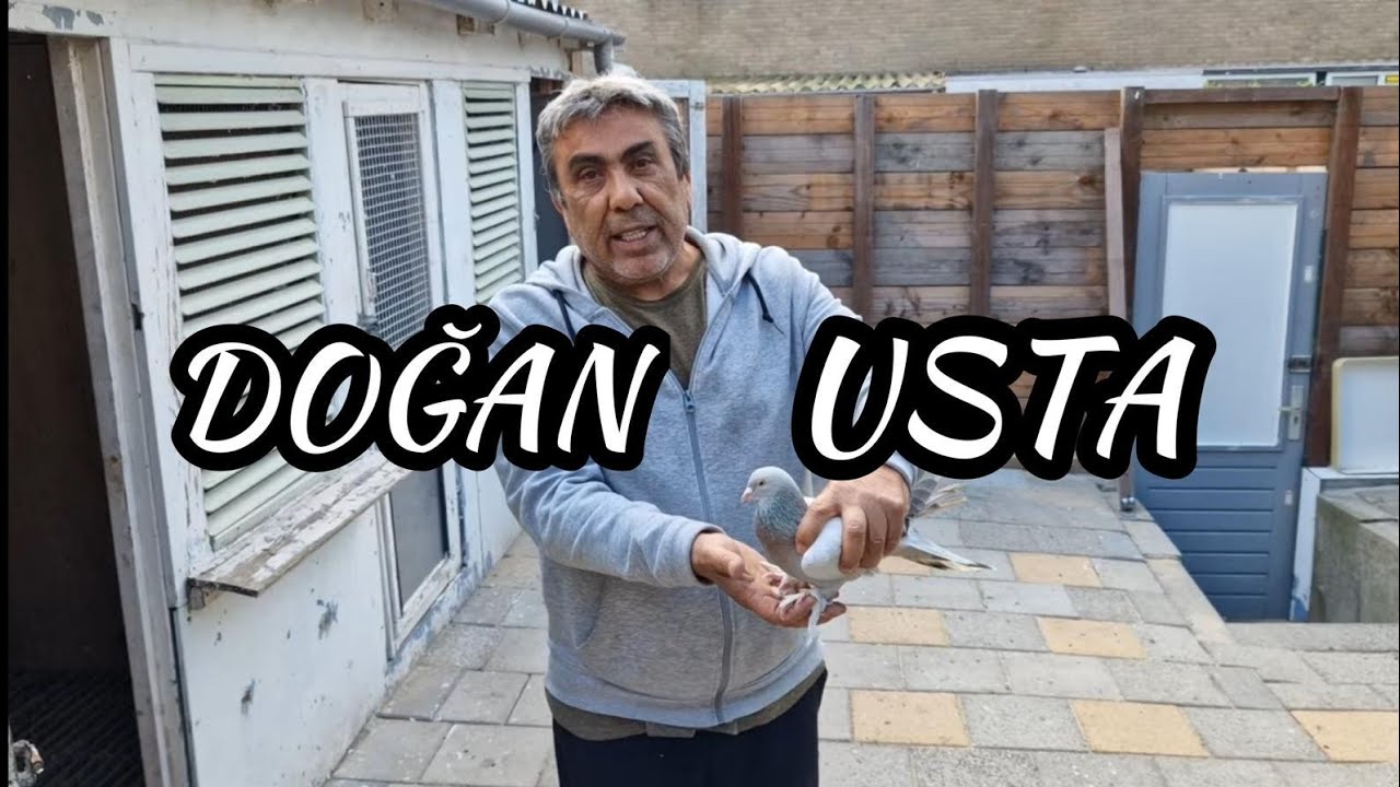 NEVŞEHİR KUŞLARI - DOĞAN USTA!!