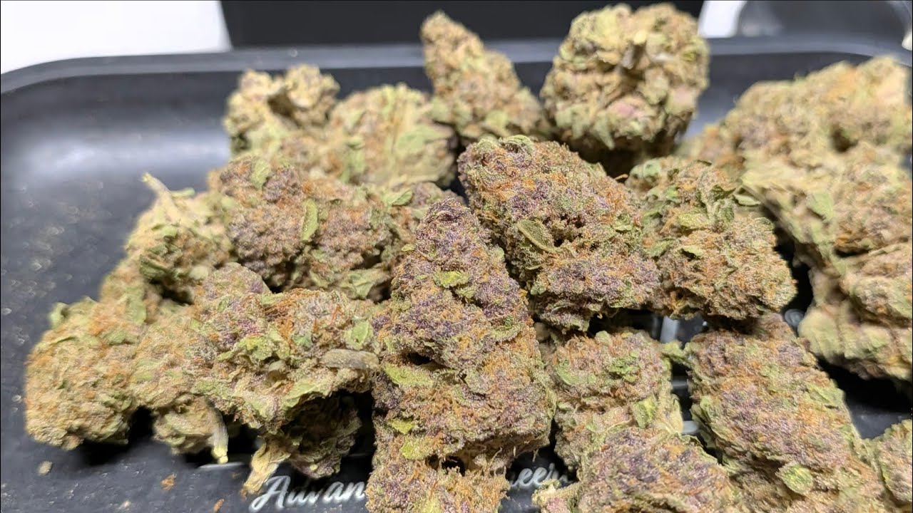 THCA SMALL BUDS | DANK SERIES | DANK PUSH POP Oz! 🍊 Citrusy Goodness & HUGE Value!