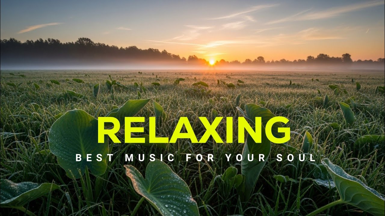 Stop Overthinking with Beautiful Piano Music | Calming Music for Stress Reduction & Peaceful Mind