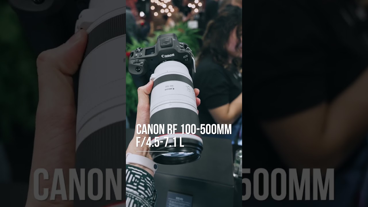 Which would you choose?: Canon RF 100-500mm f/4.5-7.1 or Sigma 60-600mm f/4.5-6.3