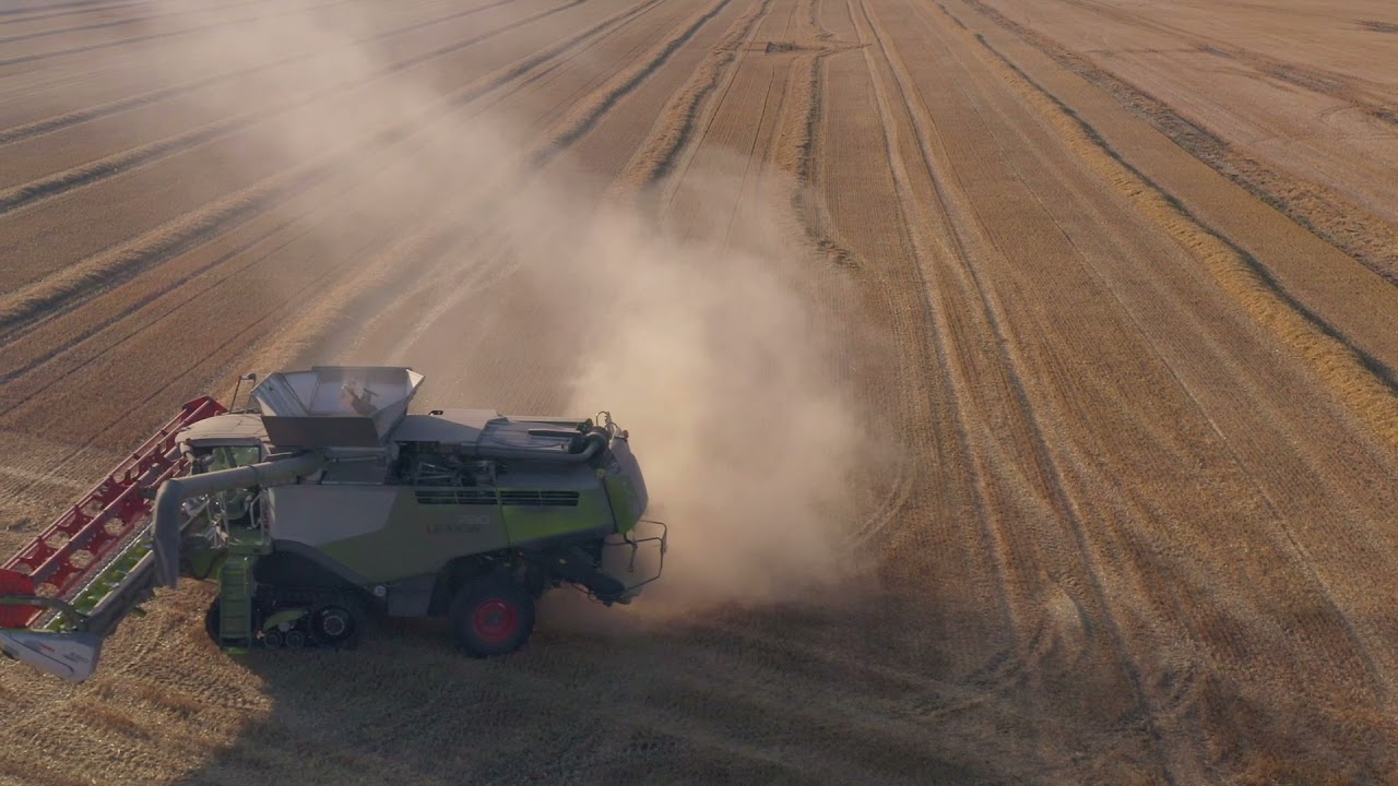 Horham Harvest