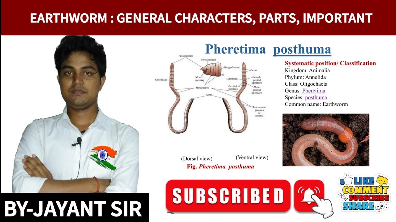 Earthworm: General Characters and classification/Economic importance of Earthworm 