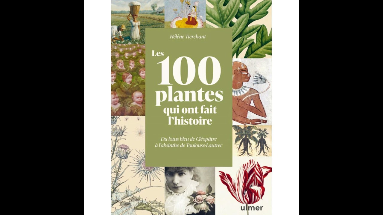 Les 100 plantes qui ont fait l'histoire - Hélène Tierchant