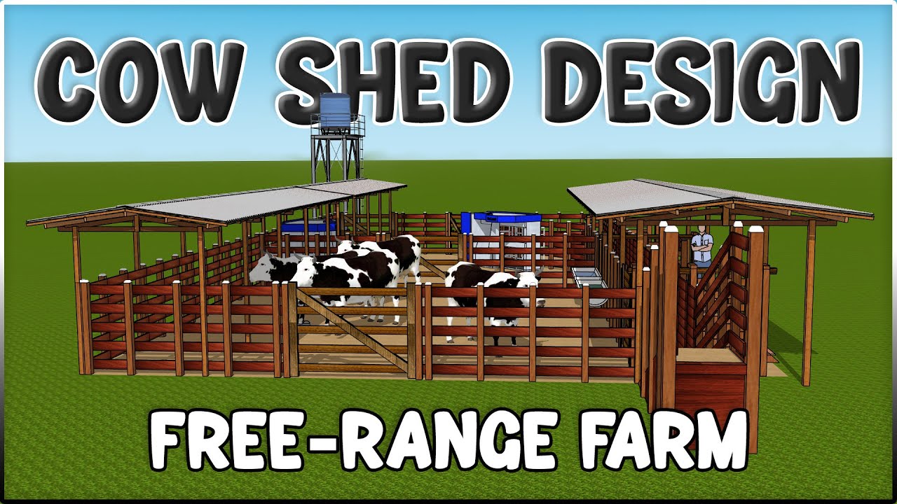 Free-Range Cow Shed 3D Design | Dairy Farm Plans & Ideas