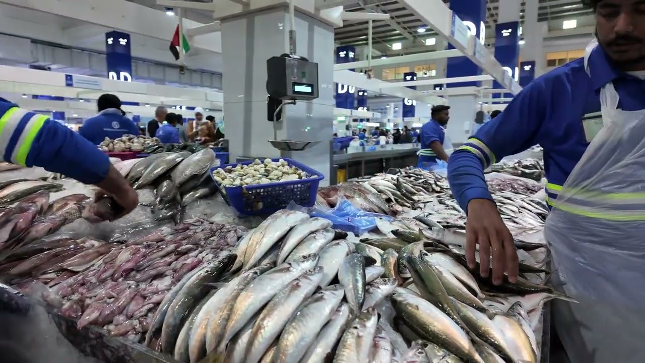 inside Dubai’s Waterfront Market 🇦🇪 | Best Place for Fish, Meat, Fruits & Spices