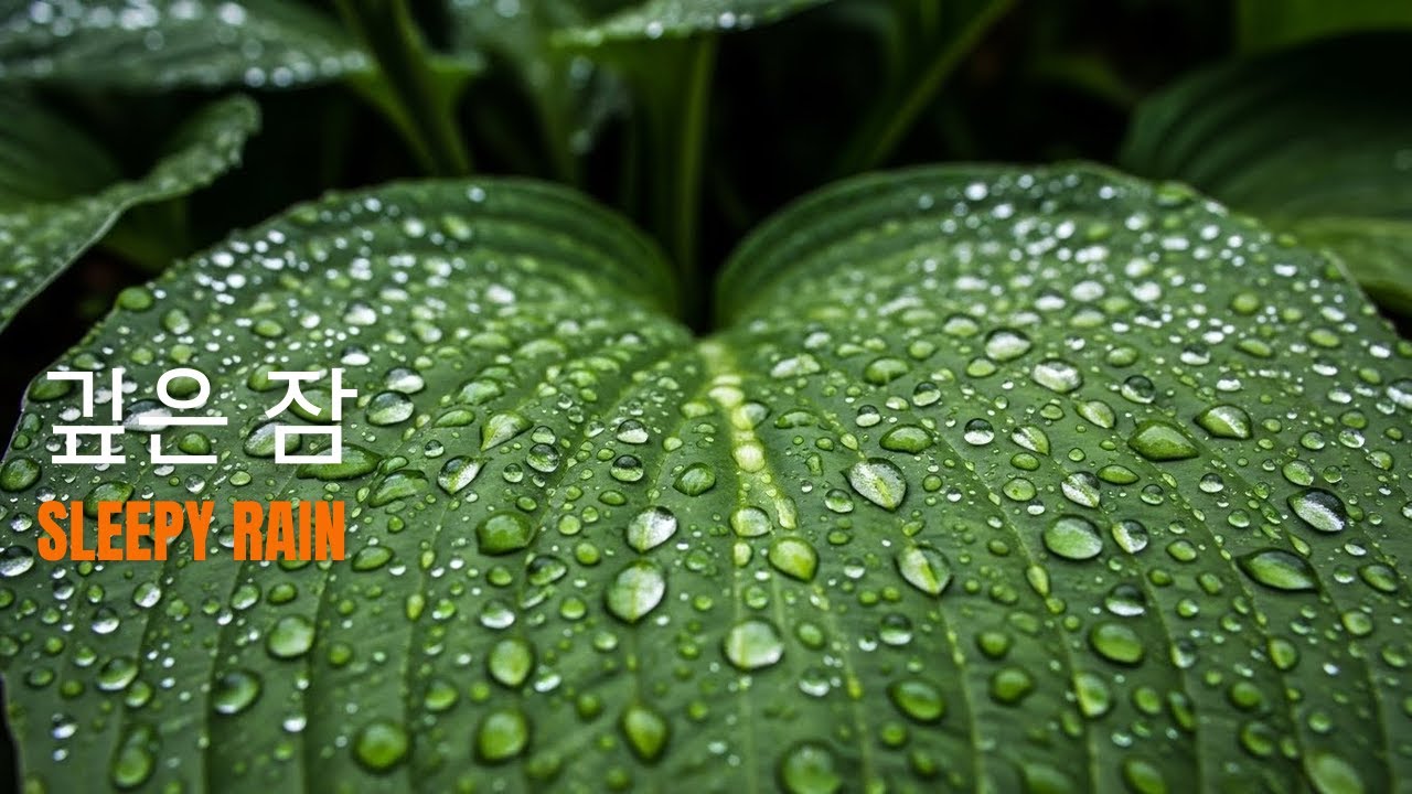나의 영혼이 주를 찾는 빗소리 워십 피아노 연주 | Soul Seeking Rain Worship