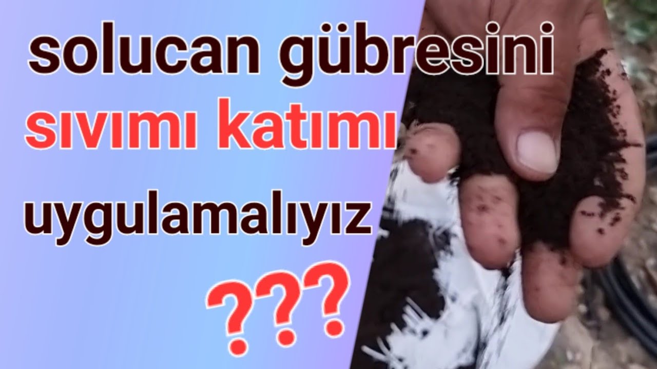 solucan Gübresi sıvımı katımı kullanılmalı? solucan gubresi nasıl uygulanır?#tropikaltopraktv #gübre
