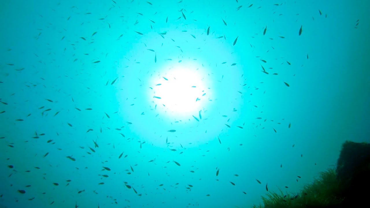 Menorca - Fornells (Punta Lajial)