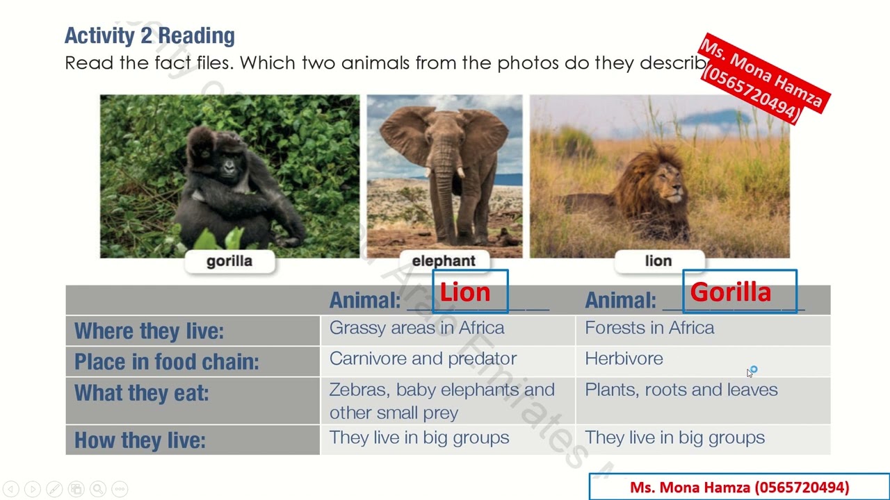 Access Book   Grade 8   Unit 6   Lesson 8 with listening text
