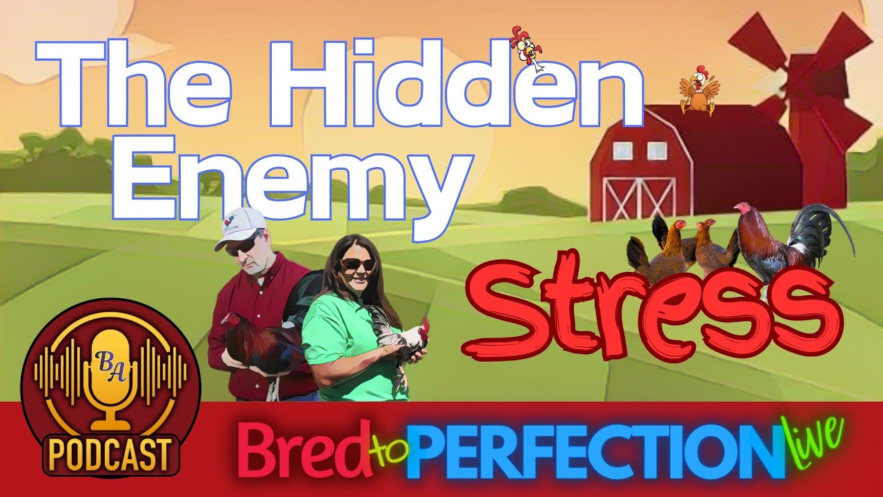 The Hidden Enemy - Understanding and Managing Stress in Our Fowl