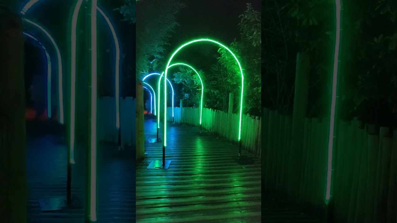 Chester Zoo Lanterns and light 2024