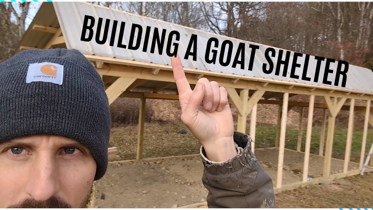 Lost and Found the Goats + Bulding the Goat Shelter (Part 1)