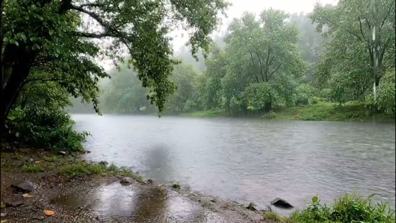 🌧️ Suasana Hujan di Pinggir Sungai – Relaksasi ASMR Alam yang Menenangkan